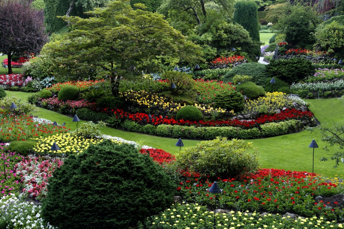 Jardin paysager aux pelouses en courbes, massifs fleuris et arbustes taillés en boule