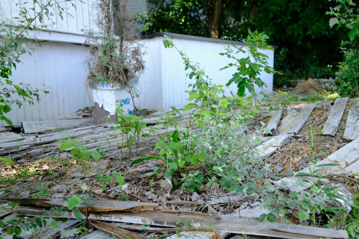 Avant : jardin à l'abandon, herbes hautes et planches entassées